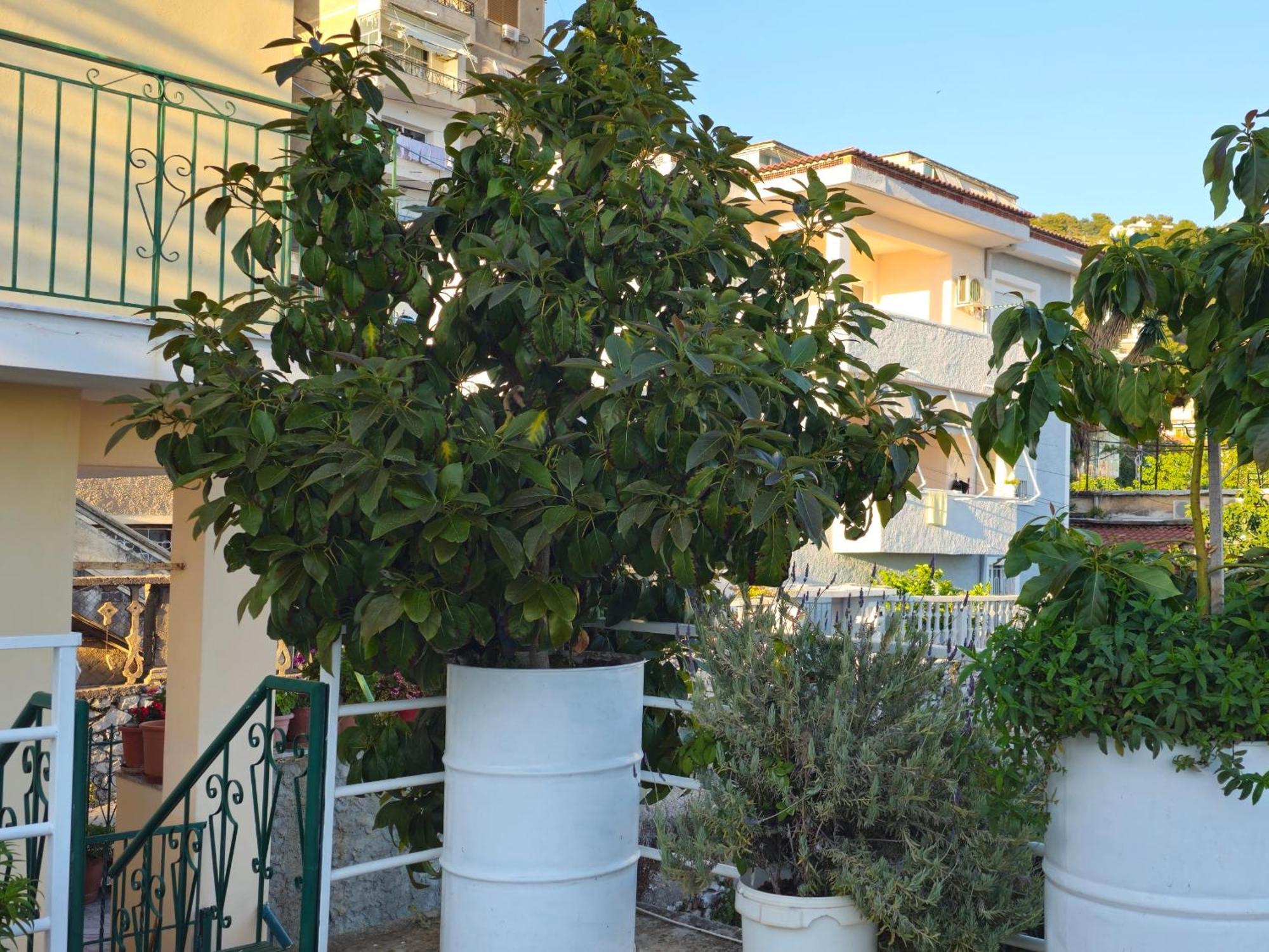 Joen Guesthouse Saranda Extérieur photo